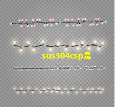 sus304csp是什么意思 工行csp是什么意思